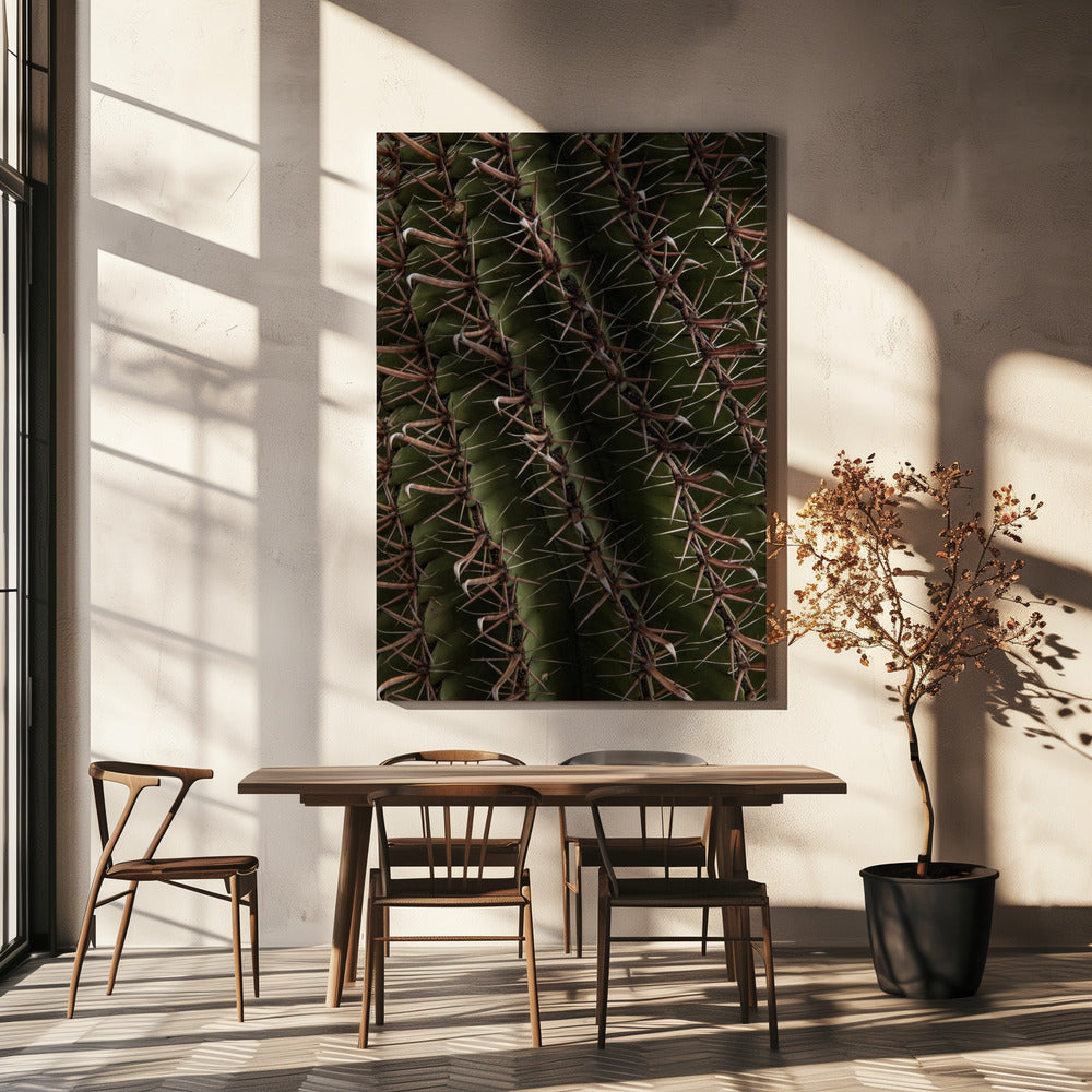 Cactus vitrines | Canvas