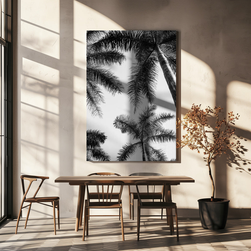Zwart-witte palmboom | Canvas