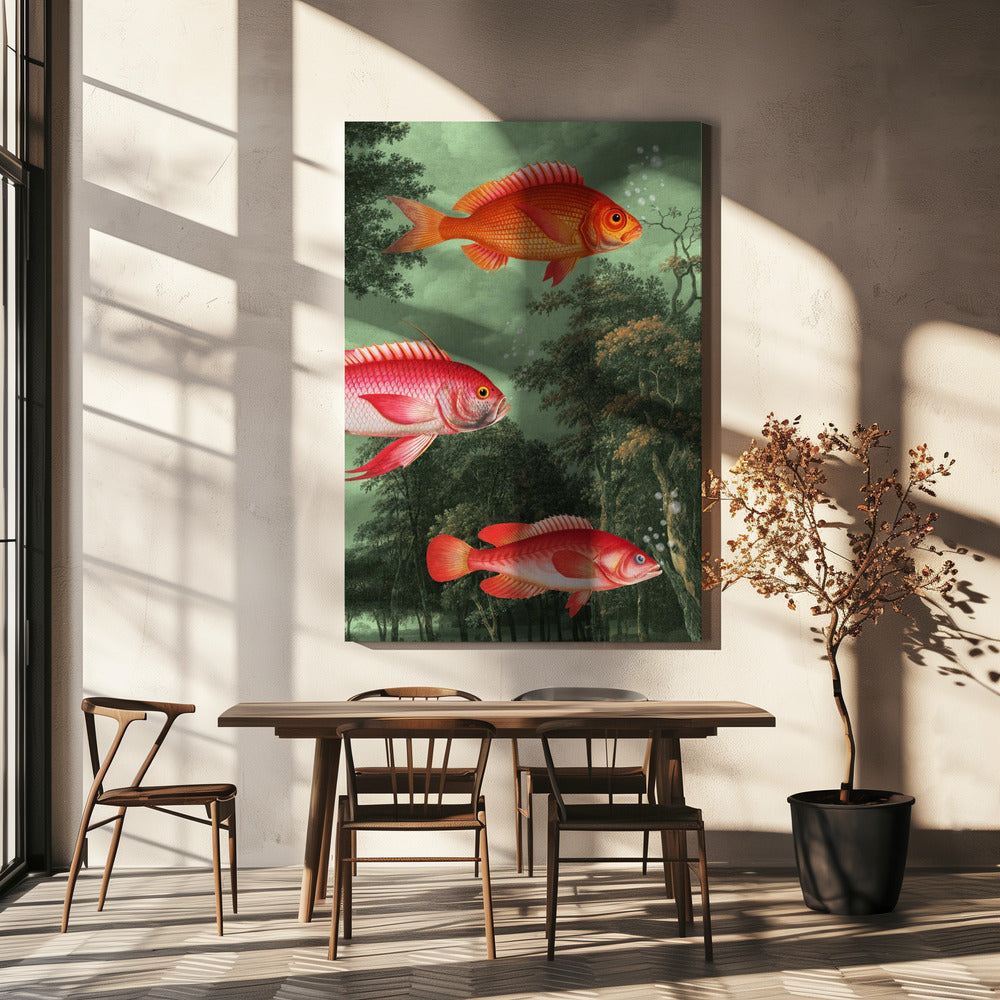Het is het seizoen van de vliegende vissen | Canvas