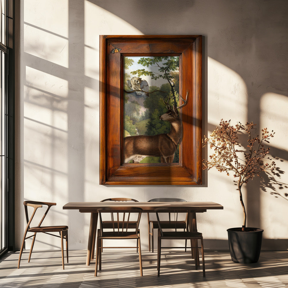 Verhalen over uilen en herten | Canvas