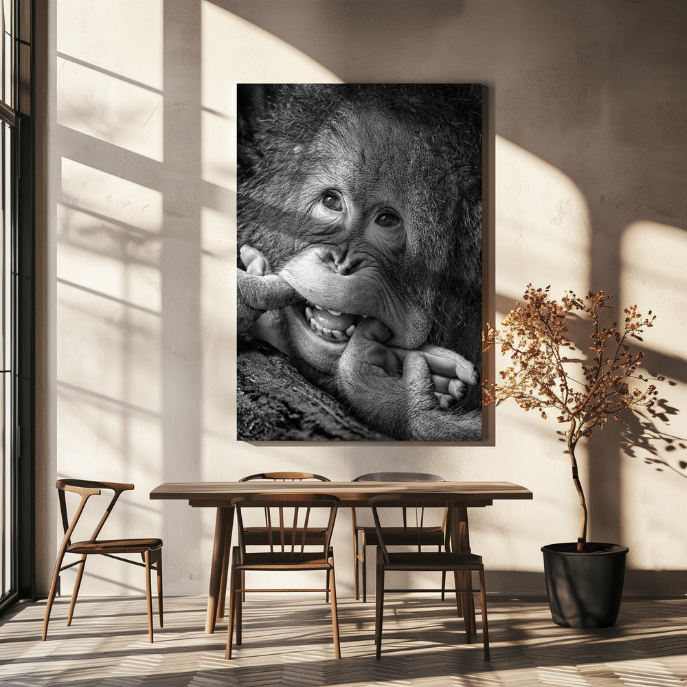 Grote glimlach.....alsjeblieft | Canvas