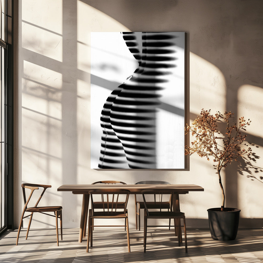 Zebra | Canvas