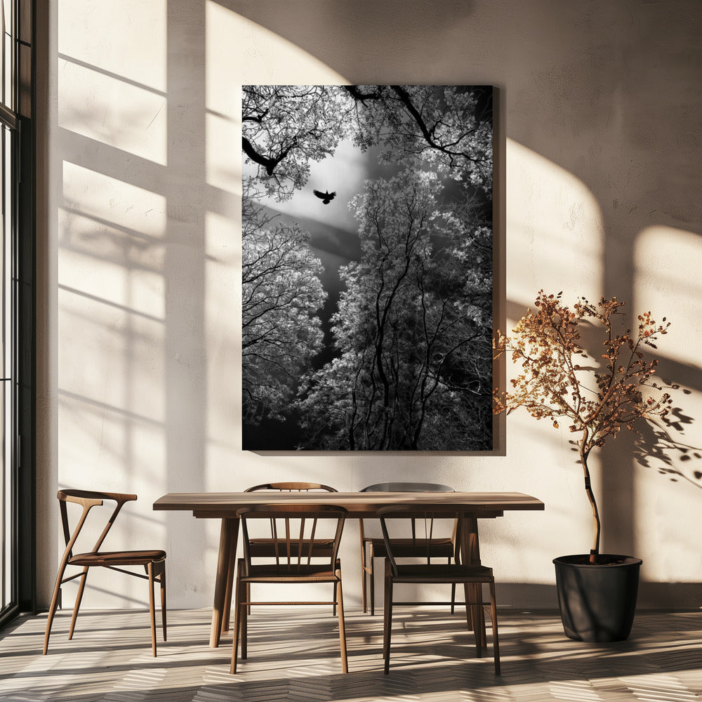 Vlucht | Canvas