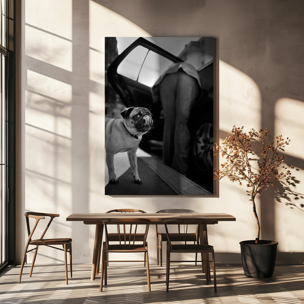 Zonder titel | Canvas