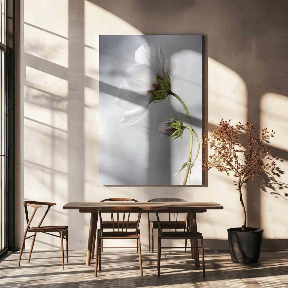 Hemelse Kosmos | Canvas