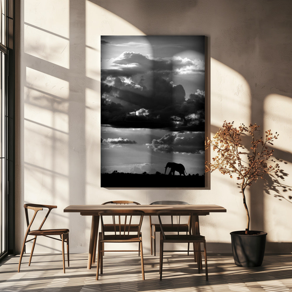 Hij loopt onder een Afrikaanse hemel | Canvas