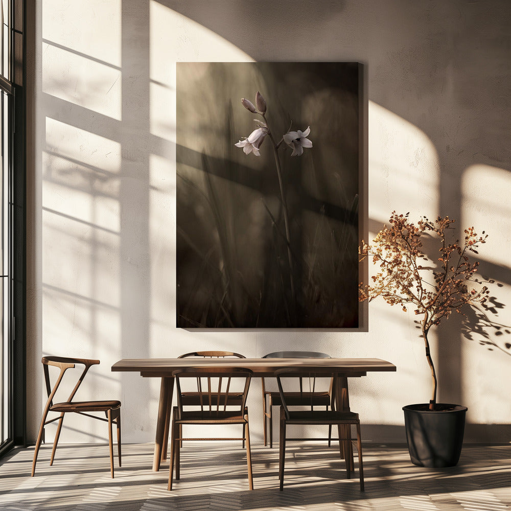 Een klein bloemetje op de grond | Canvas