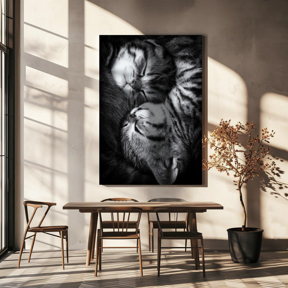 Yin en Yang | Canvas
