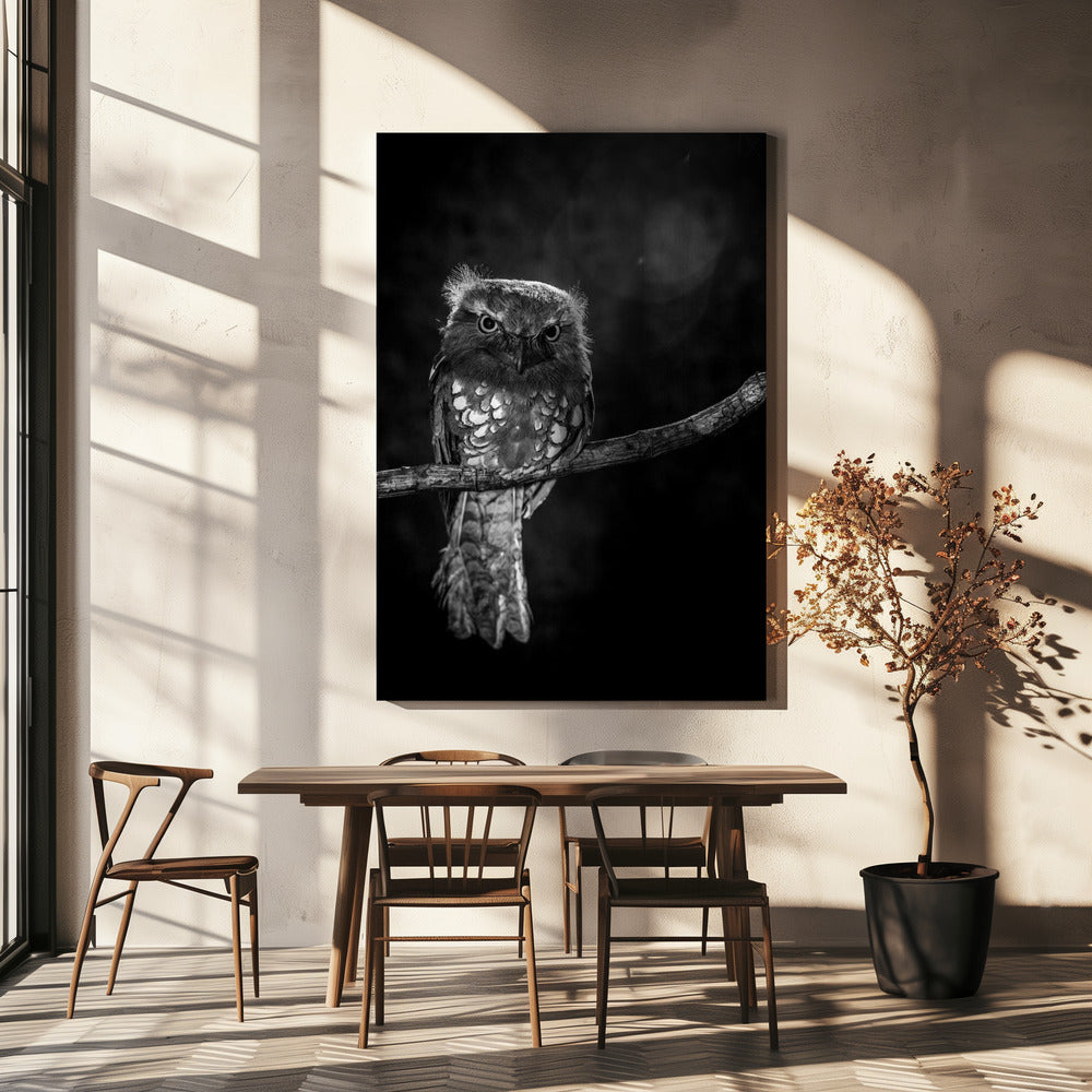Alleen in de nacht | Canvas