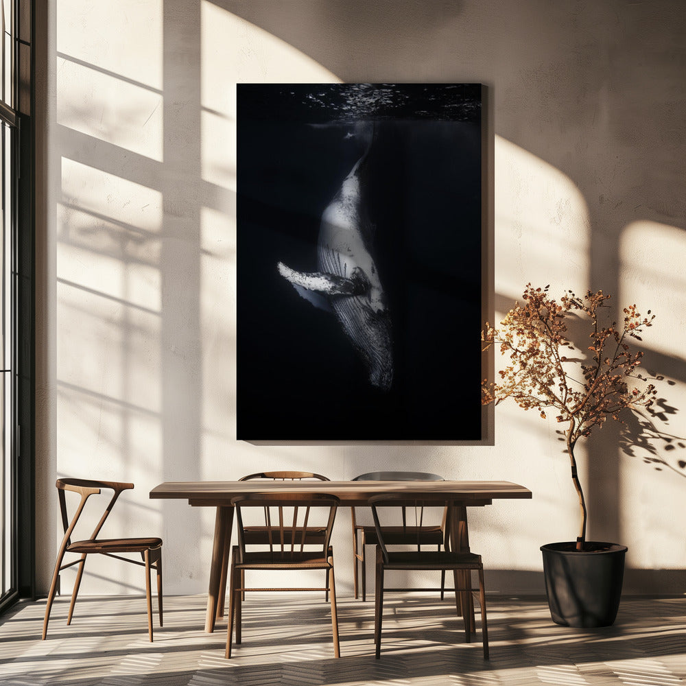 Zwarte Walvis | Canvas