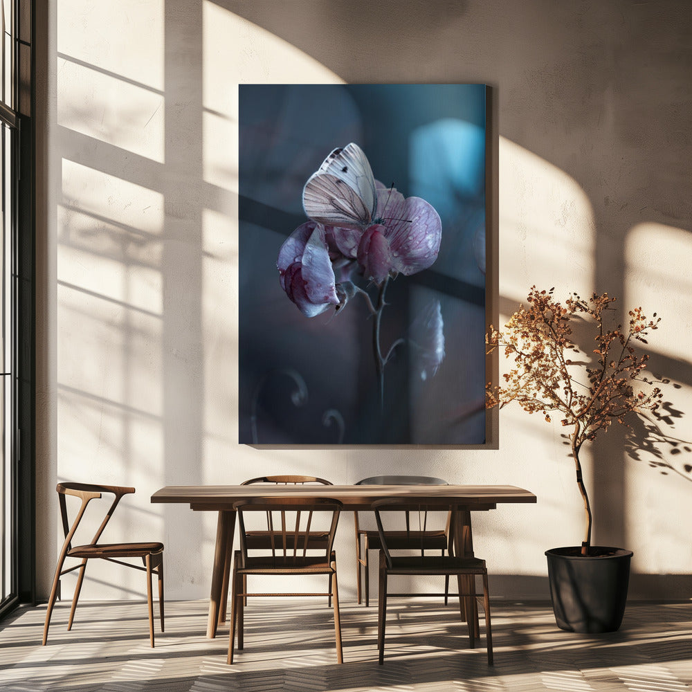 Besmette liefde | Canvas