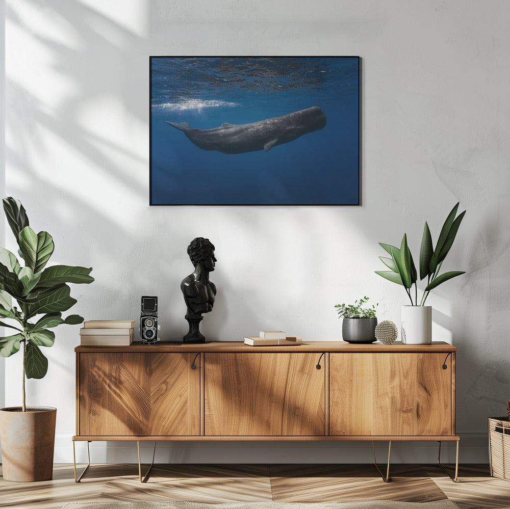 Sperm whale | Poster