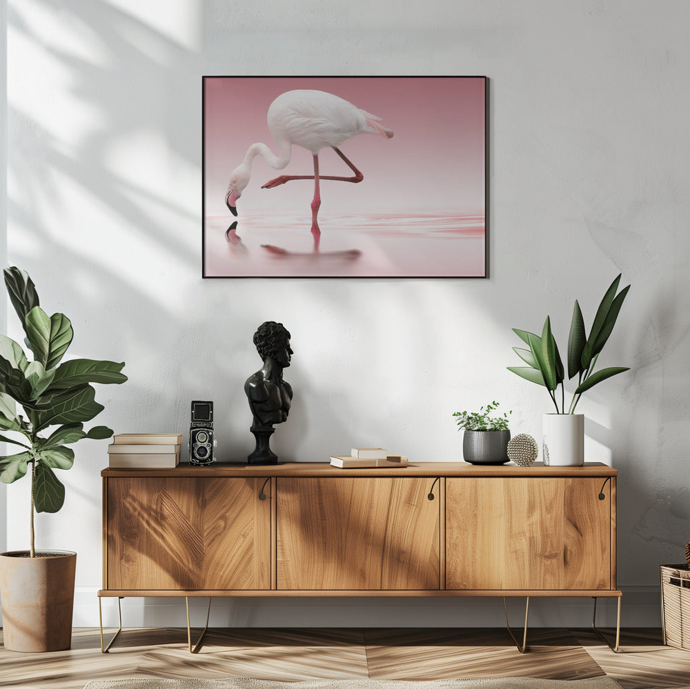 Flamingo | Poster