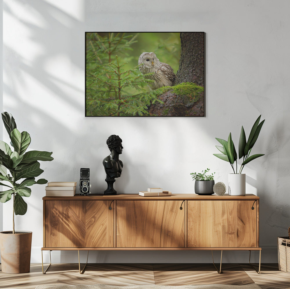 Oeraluil | Poster