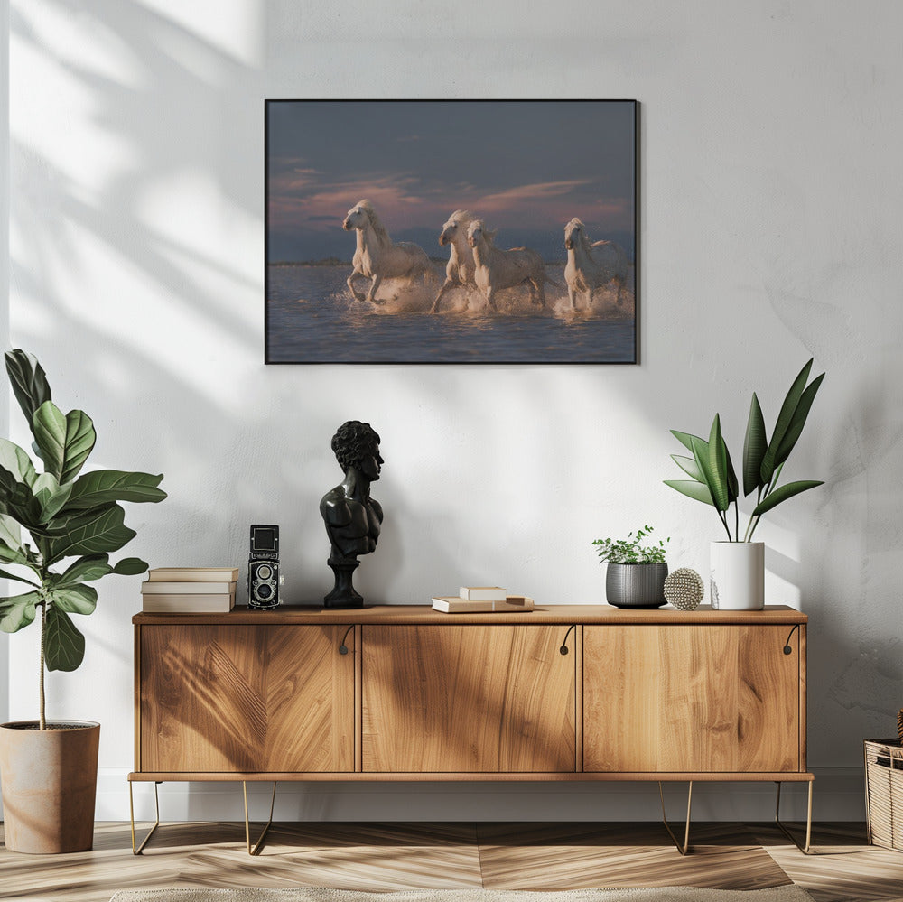 Engelen van de Camargue | Poster