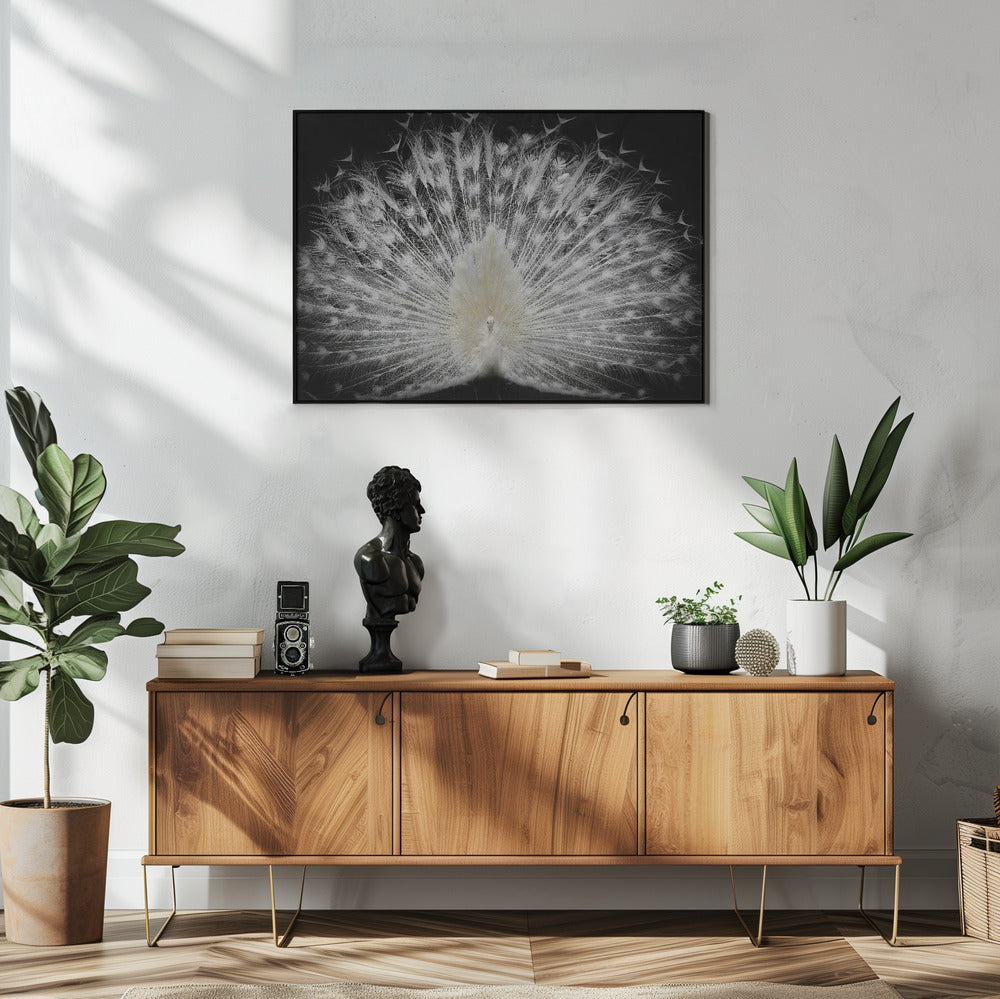 zwart-wit, | Poster
