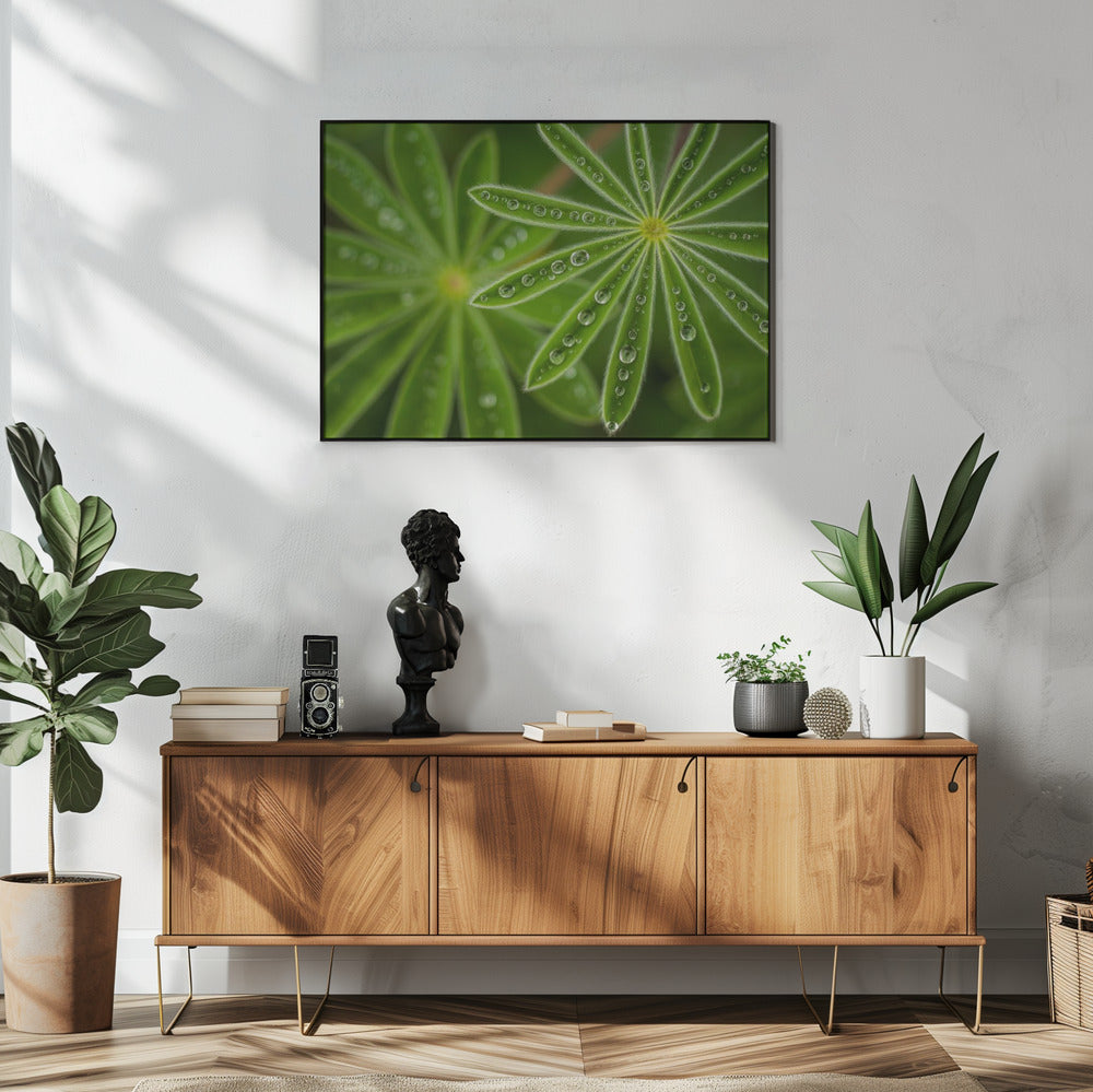 Pearly Lupine | Poster