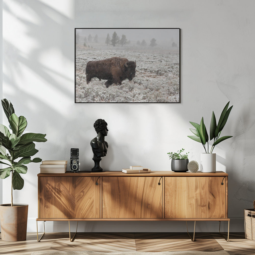 Yellowstone in de late herfst | Poster