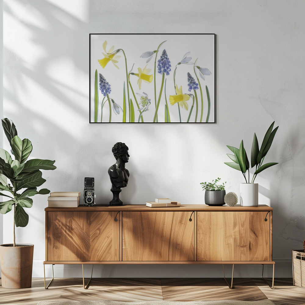Lente | Poster