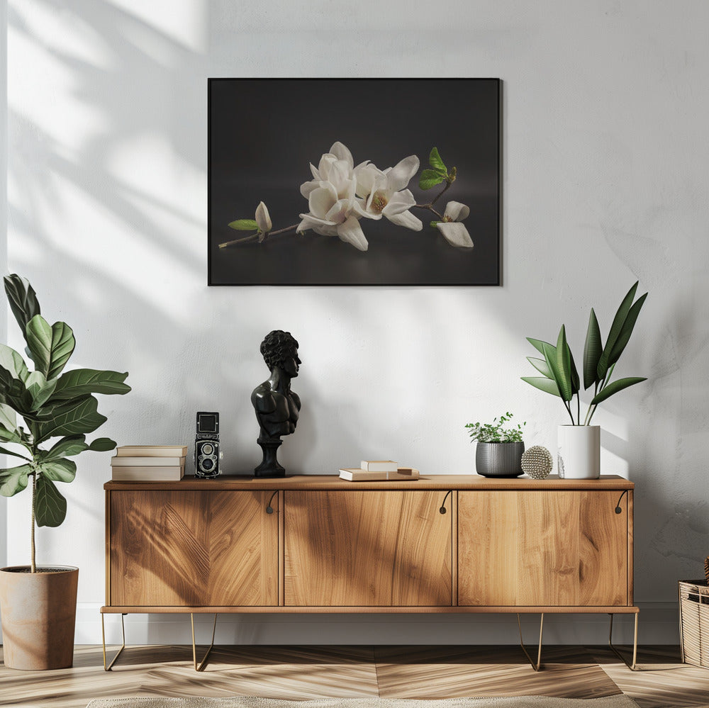 Magnolia | Poster