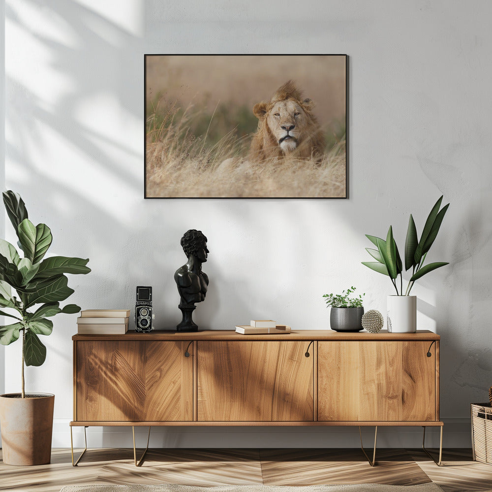 Knap! | Poster