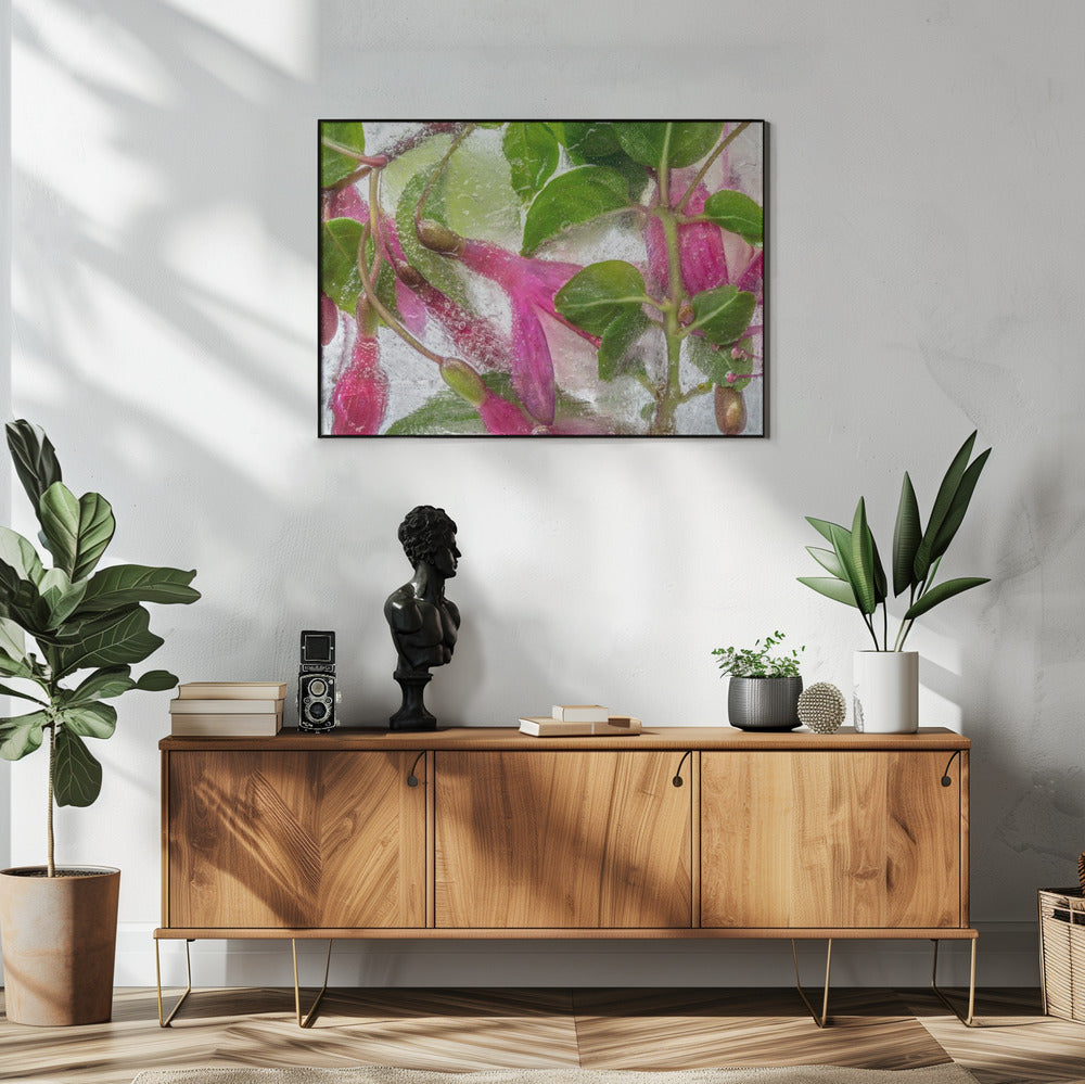 Fuchsia bevriezing | Poster