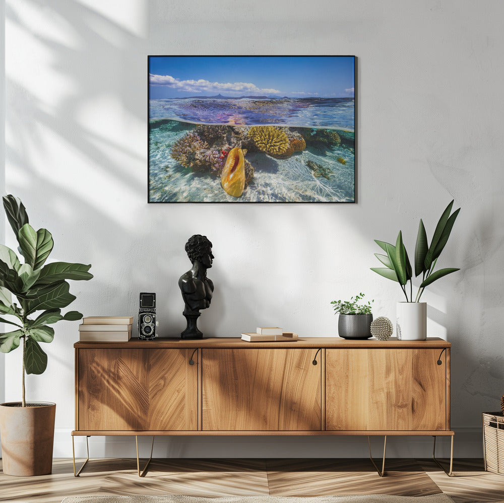 Laguneleven | Poster
