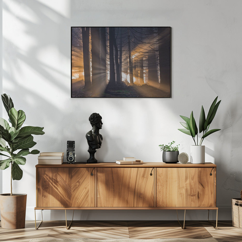 Forest | Poster