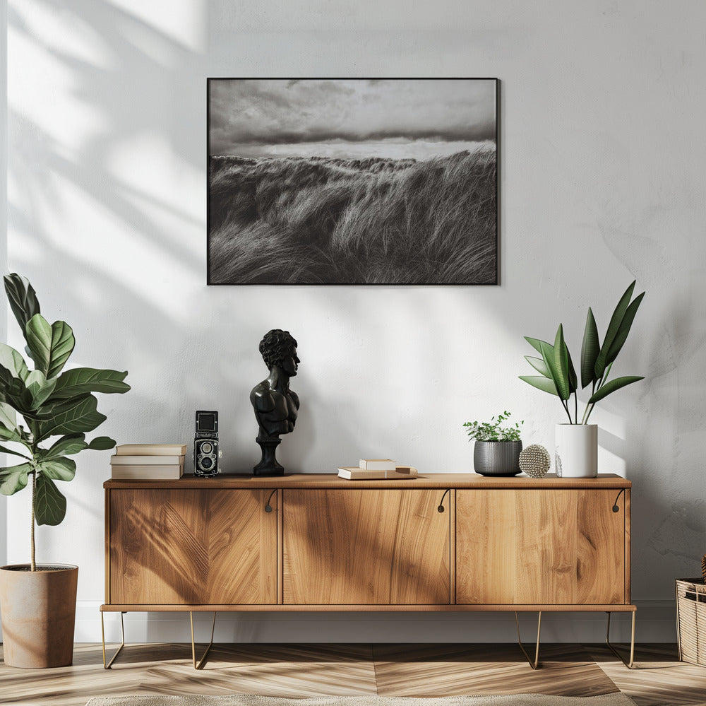 Duinen van gras | Poster