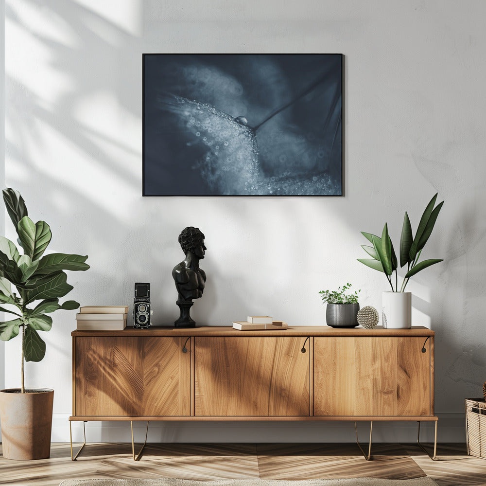 Blauwe paardenbloemen | Poster