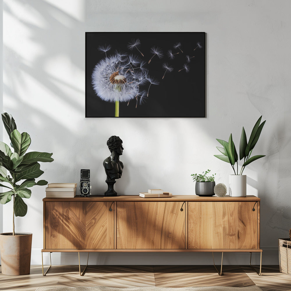 Paardenbloem waait | Poster
