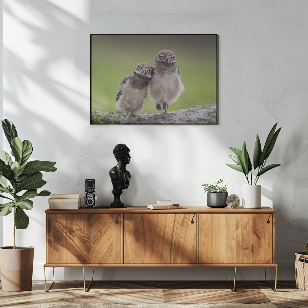Vrienden | Poster