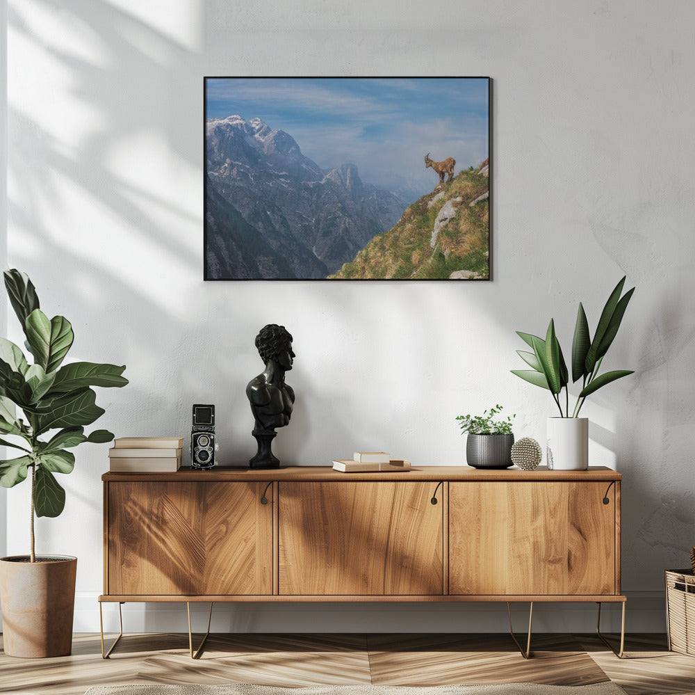 Alpensteenbok in de bergen | Poster