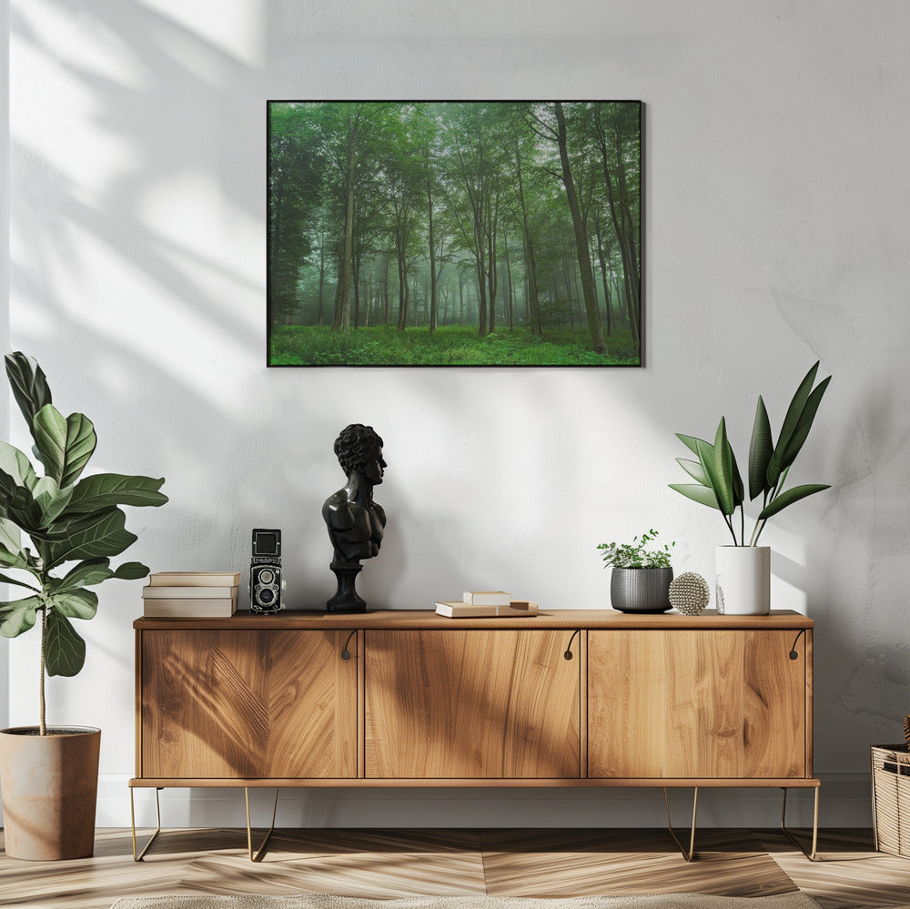 Forest View | Poster