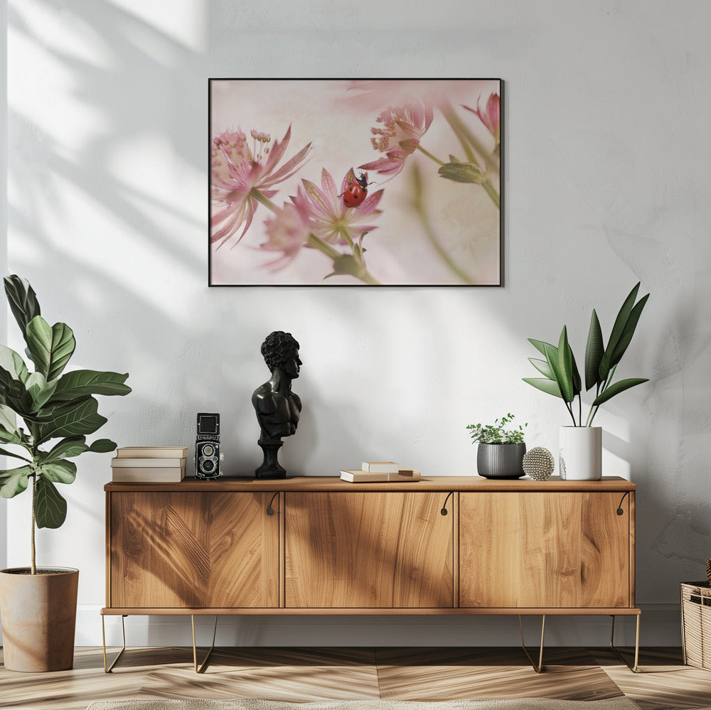 Lieveheersbeestje en roze bloemen | Poster