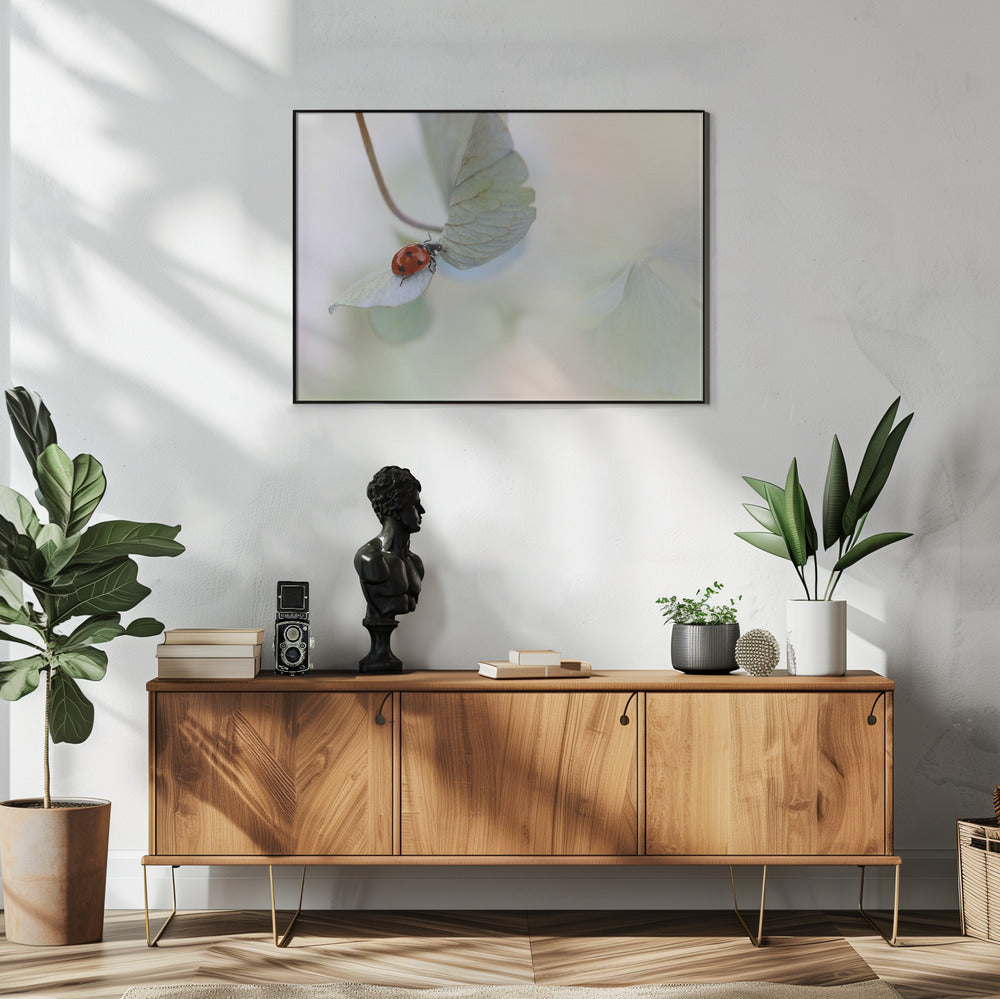 Lieveheersbeestje op blauwgroene hortensia | Poster