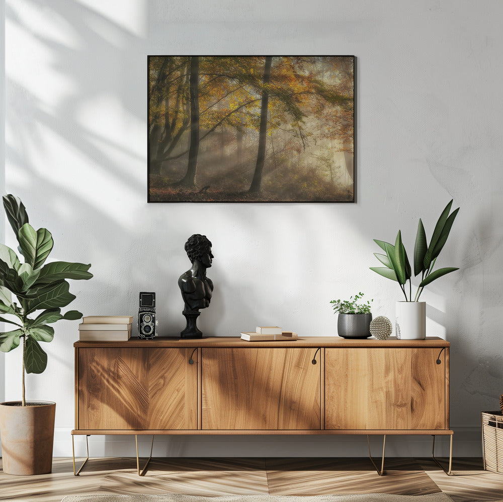 De lichten van het bos | Poster