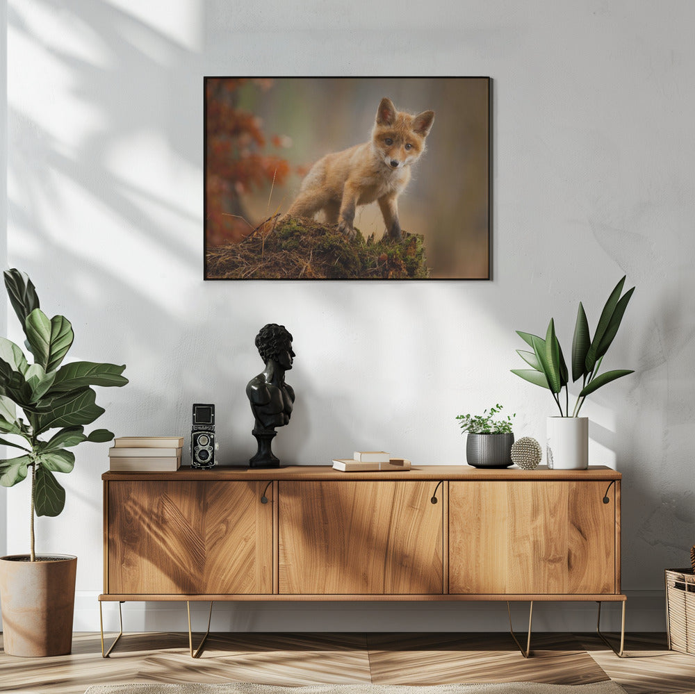Fox | Poster
