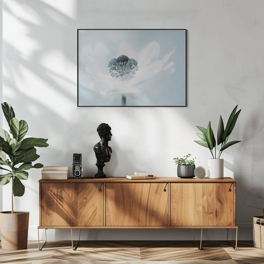 Suikerspin | Poster