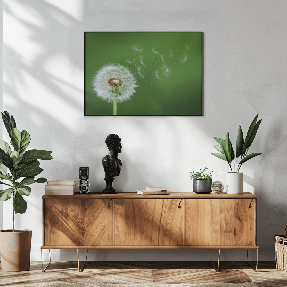 Paardenbloem waait | Poster