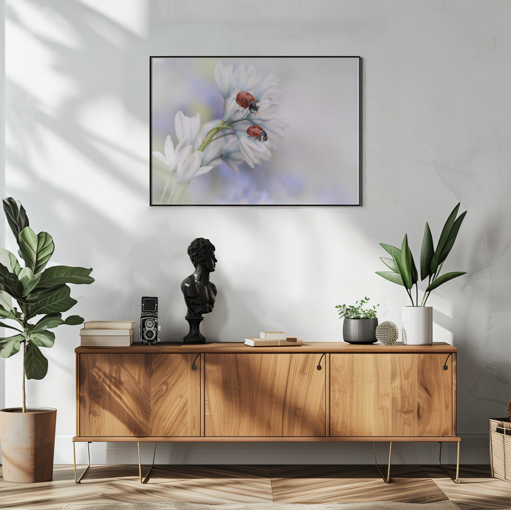 Lieveheersbeestjes | Poster