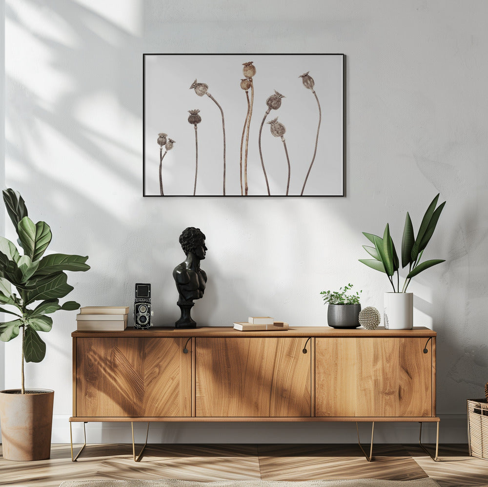 Poppies | Poster