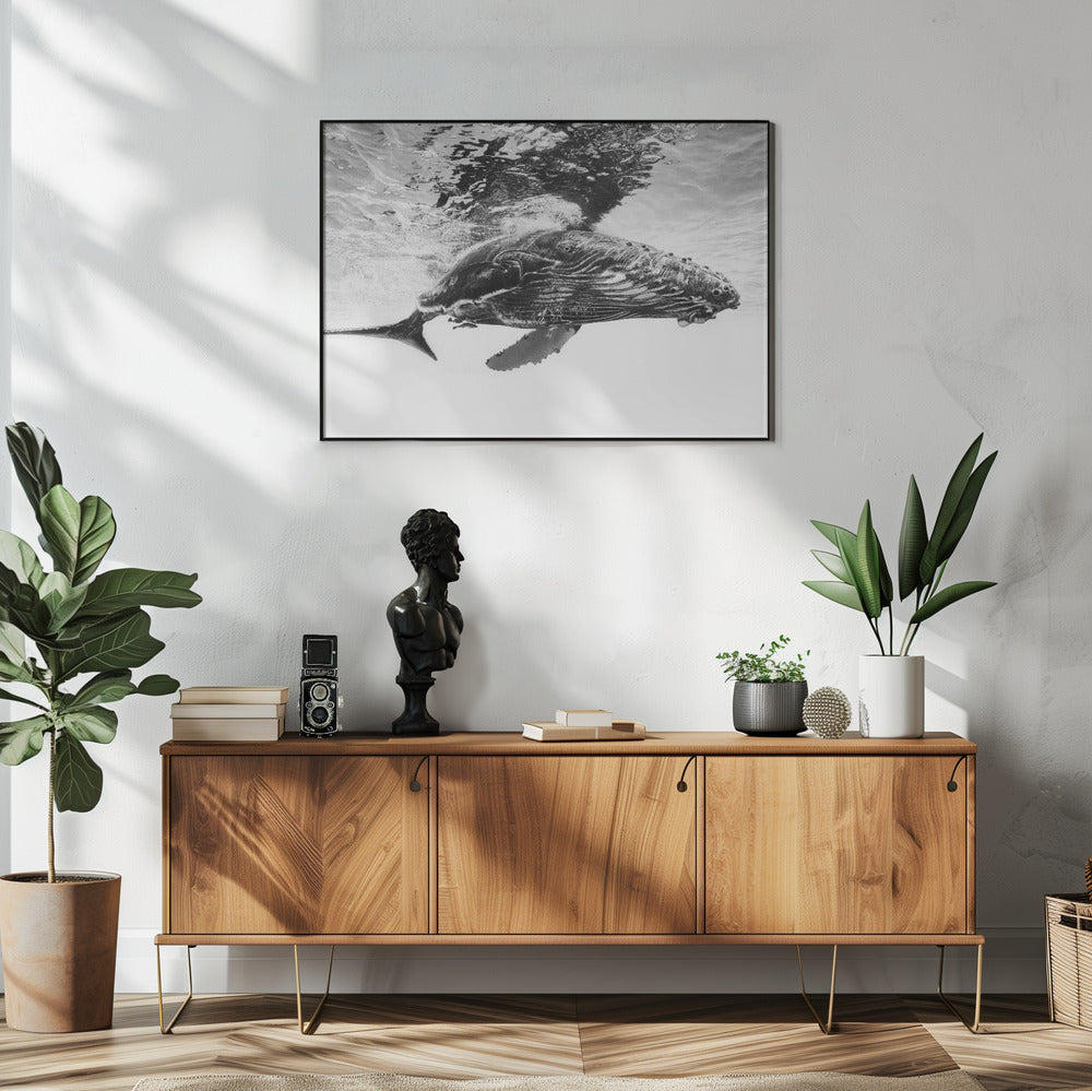 Bultrugkalf | Poster