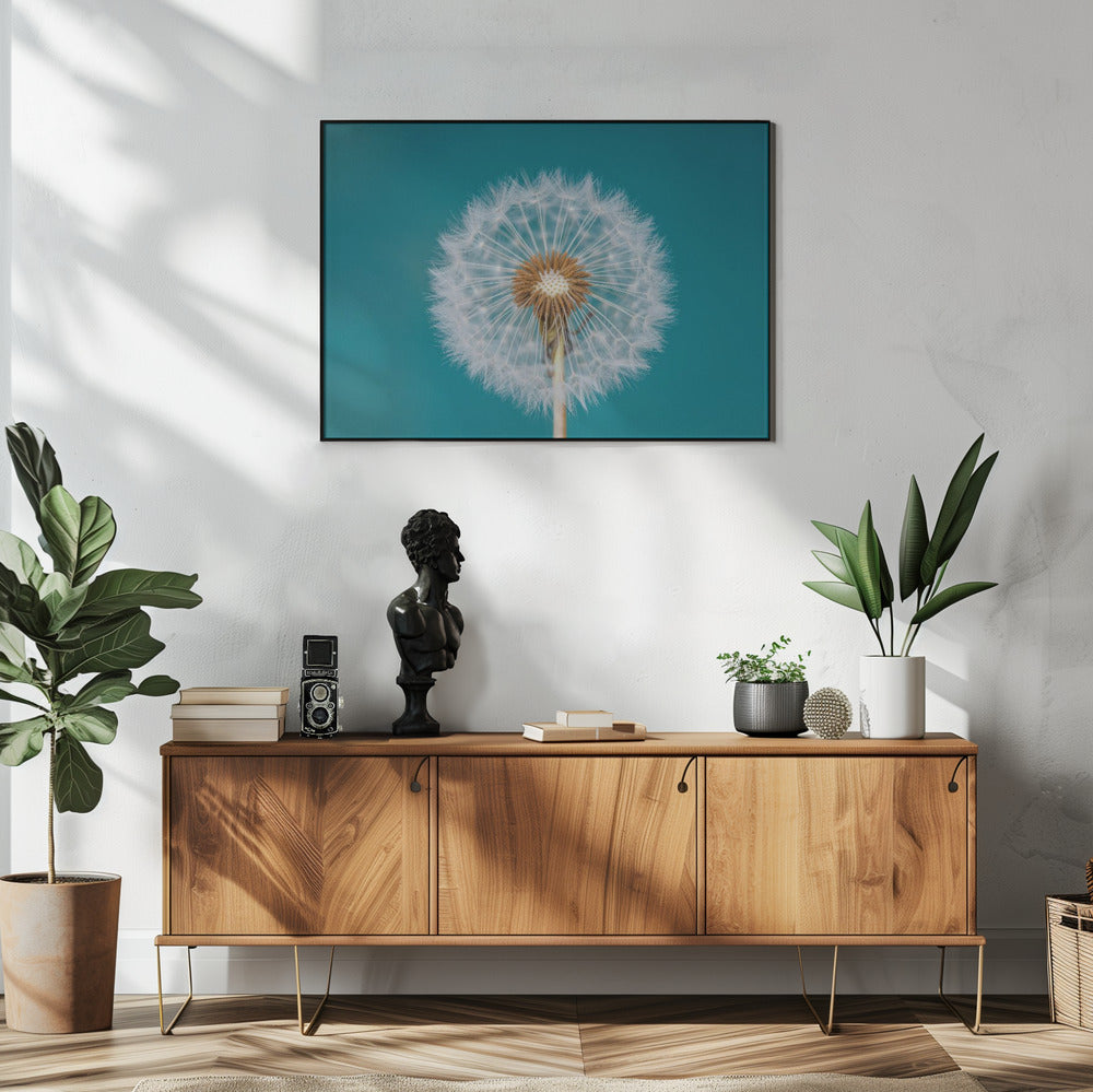 Paardenbloem | Poster