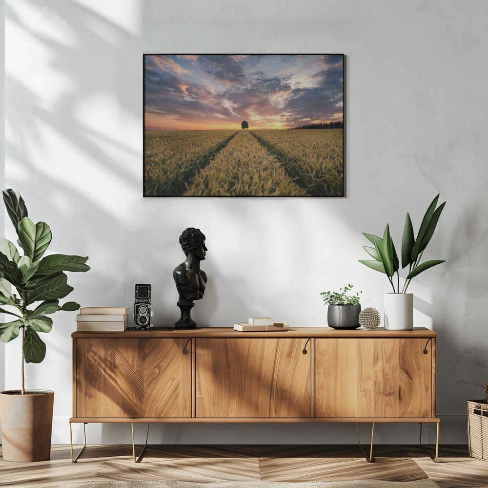 Veld van dromen | Poster