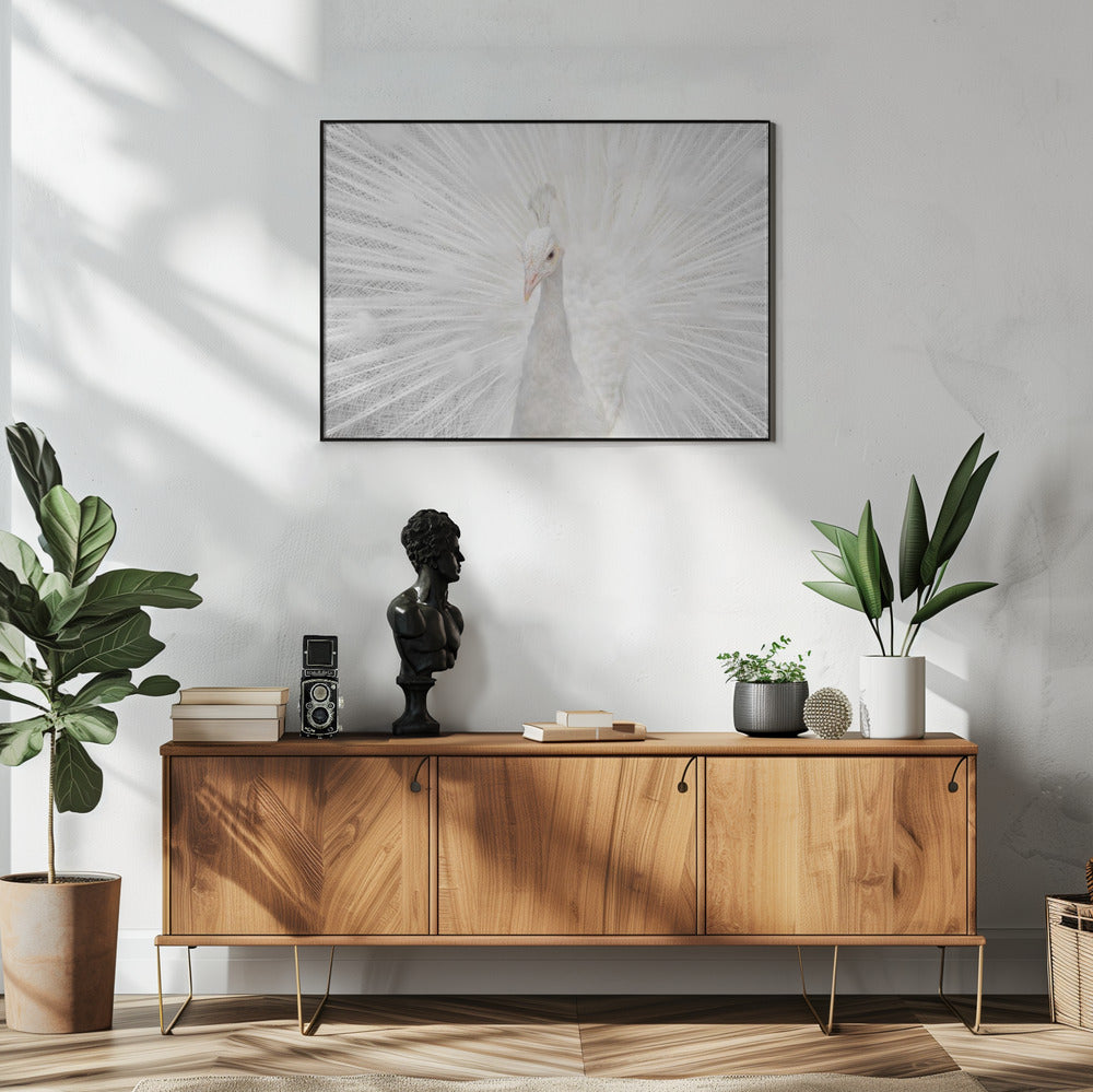 Schitterende Witte | Poster