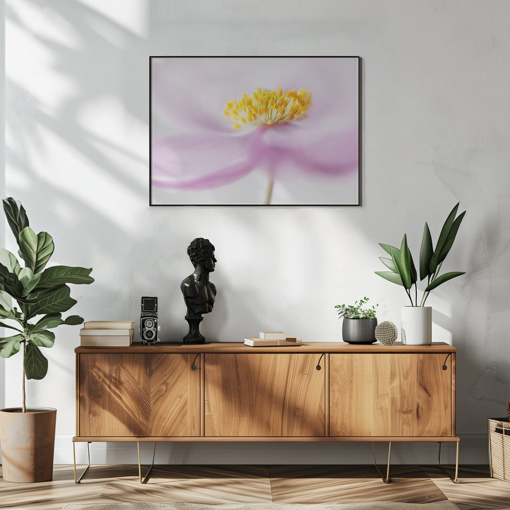 *Anemoon* | Poster