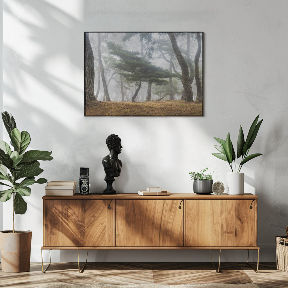 In The Misty Pine Forest | Poster