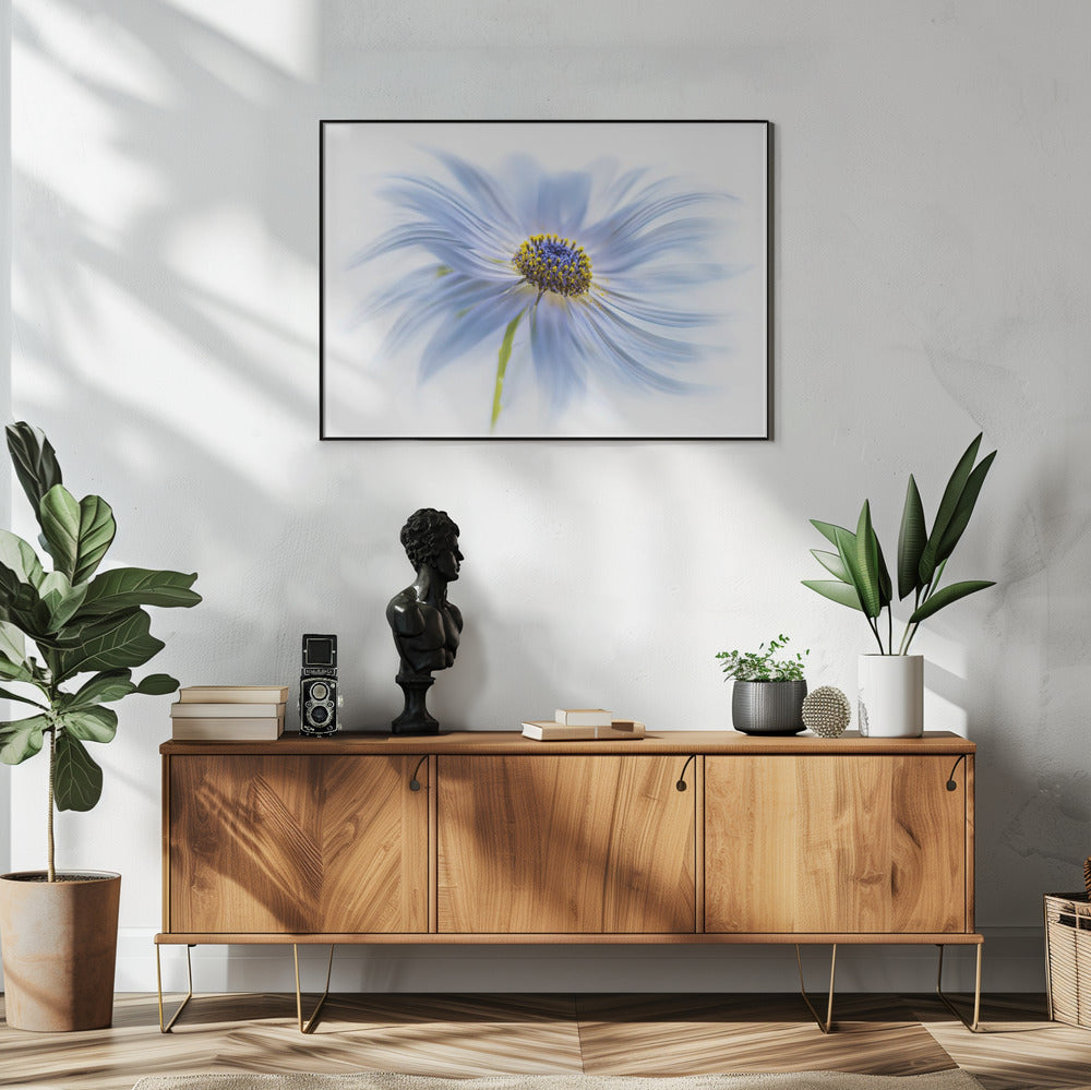 Madeliefjesgenot | Poster