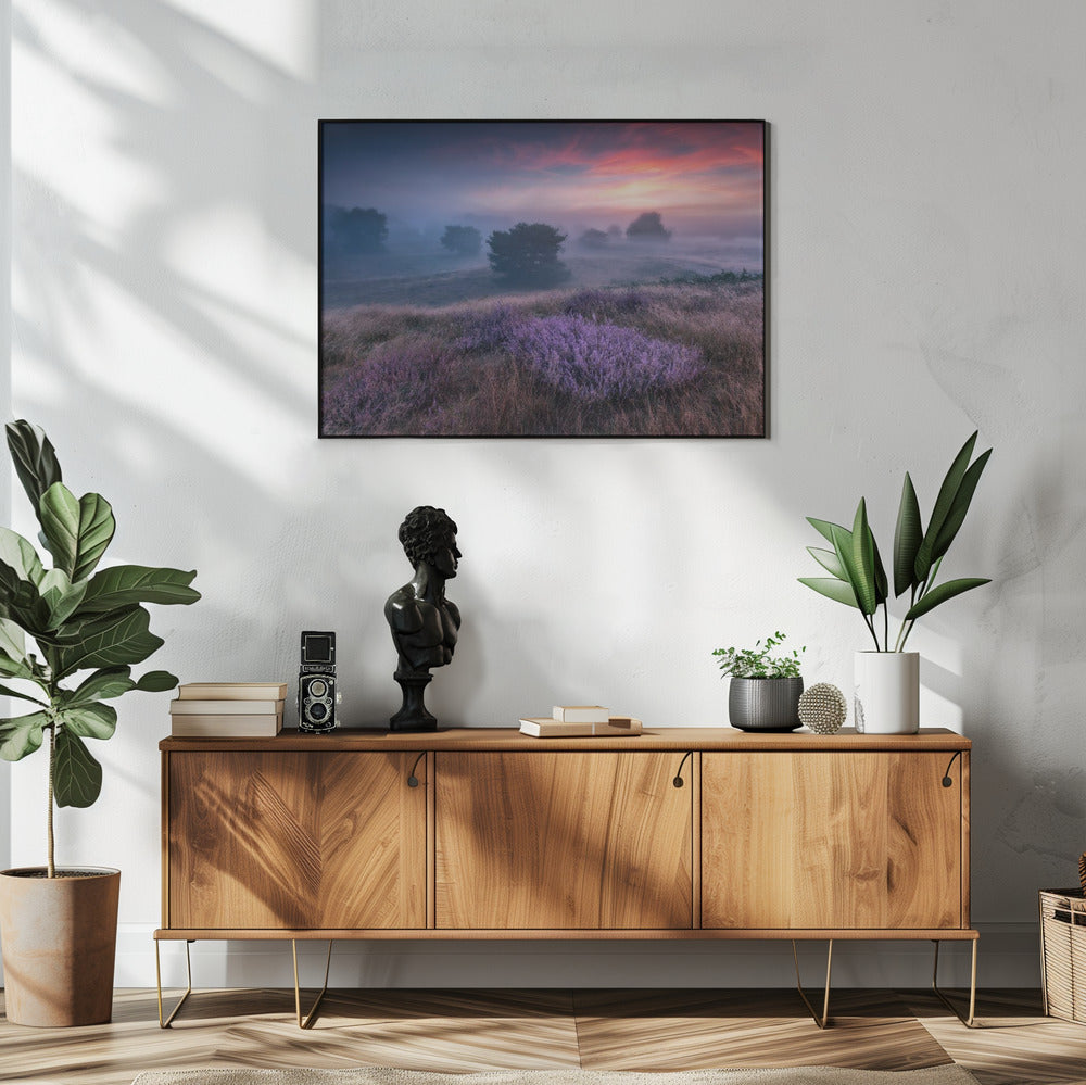 "de kleuren van heide" | Poster